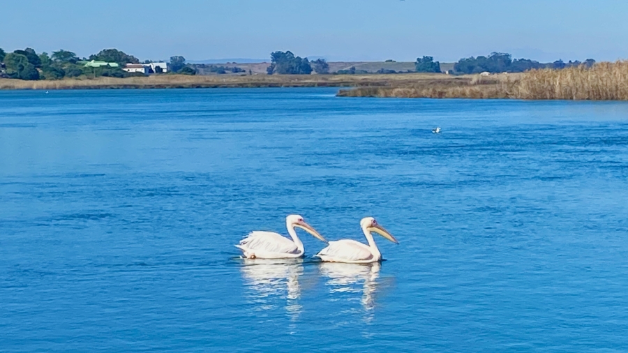 3 Bedroom Property for Sale in Atlantic Sands Private Estate Western Cape